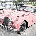 A Classic Jaguar