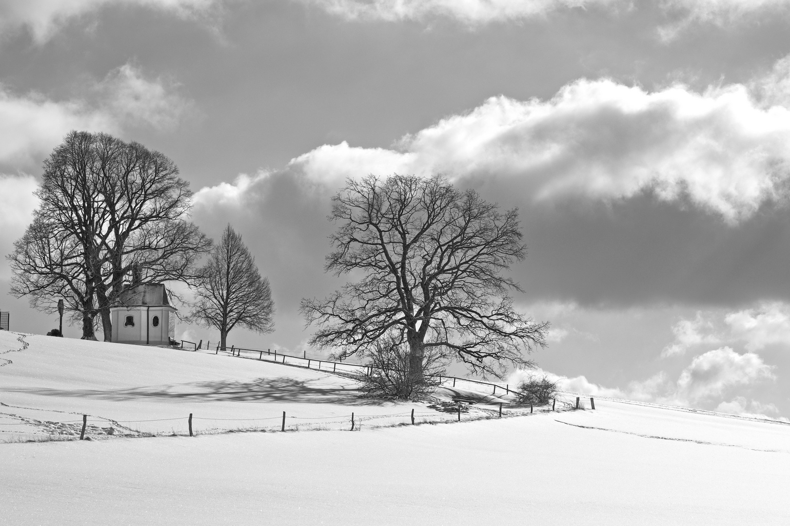 A cloudy winter day