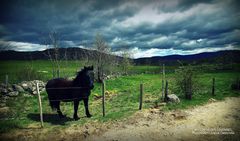 A coeur des Cévennes / Sur le tournage de Mon GR® préféré • Saison 1