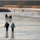 A coeur joie sur l'immense patinoire ....