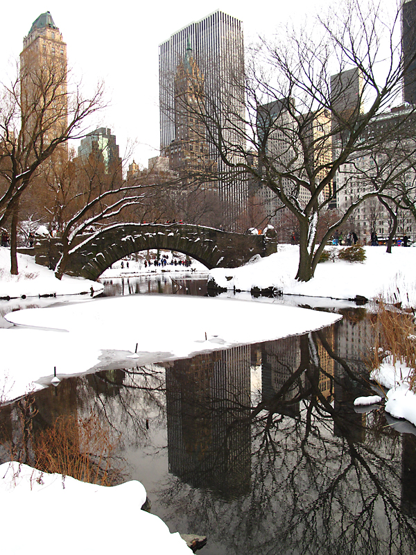 A cold day in Central Park