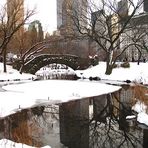 A cold day in Central Park