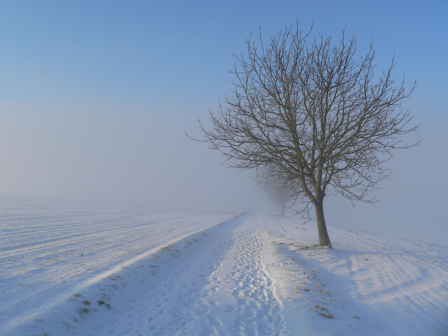 A cold evening walk