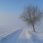 A cold evening walk