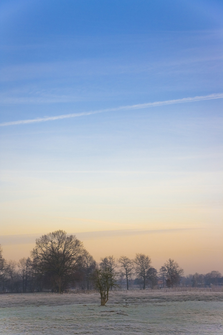 A colorful morning