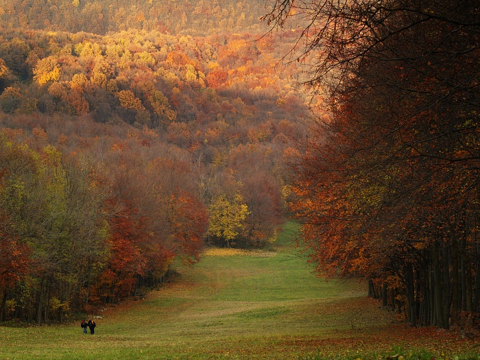 a colourful walk