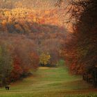 a colourful walk