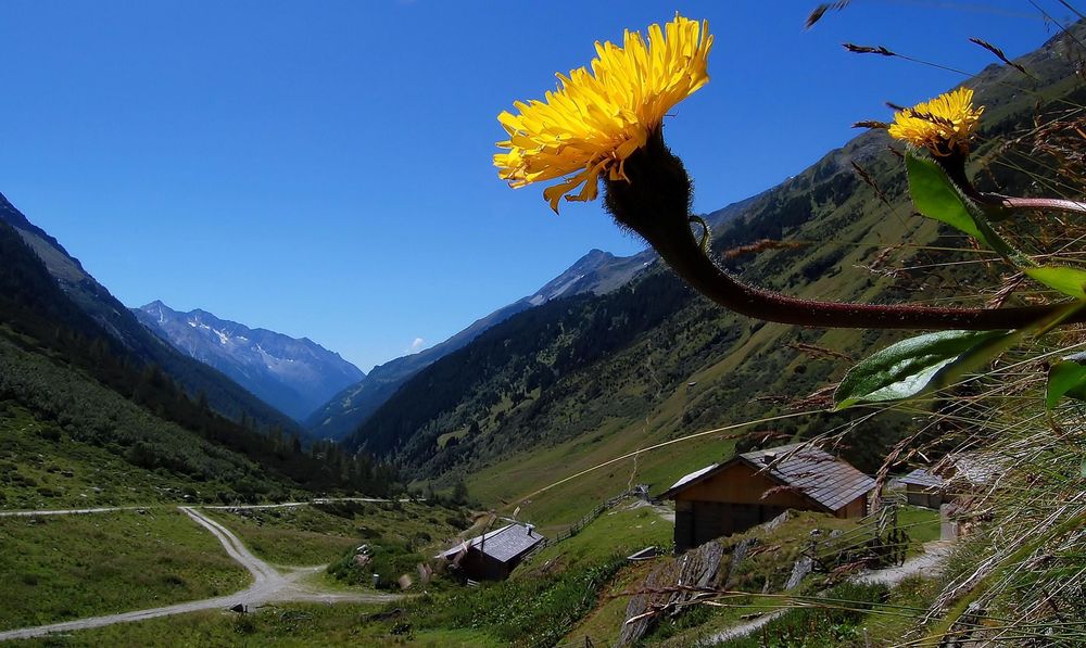 A contatto con il cielo