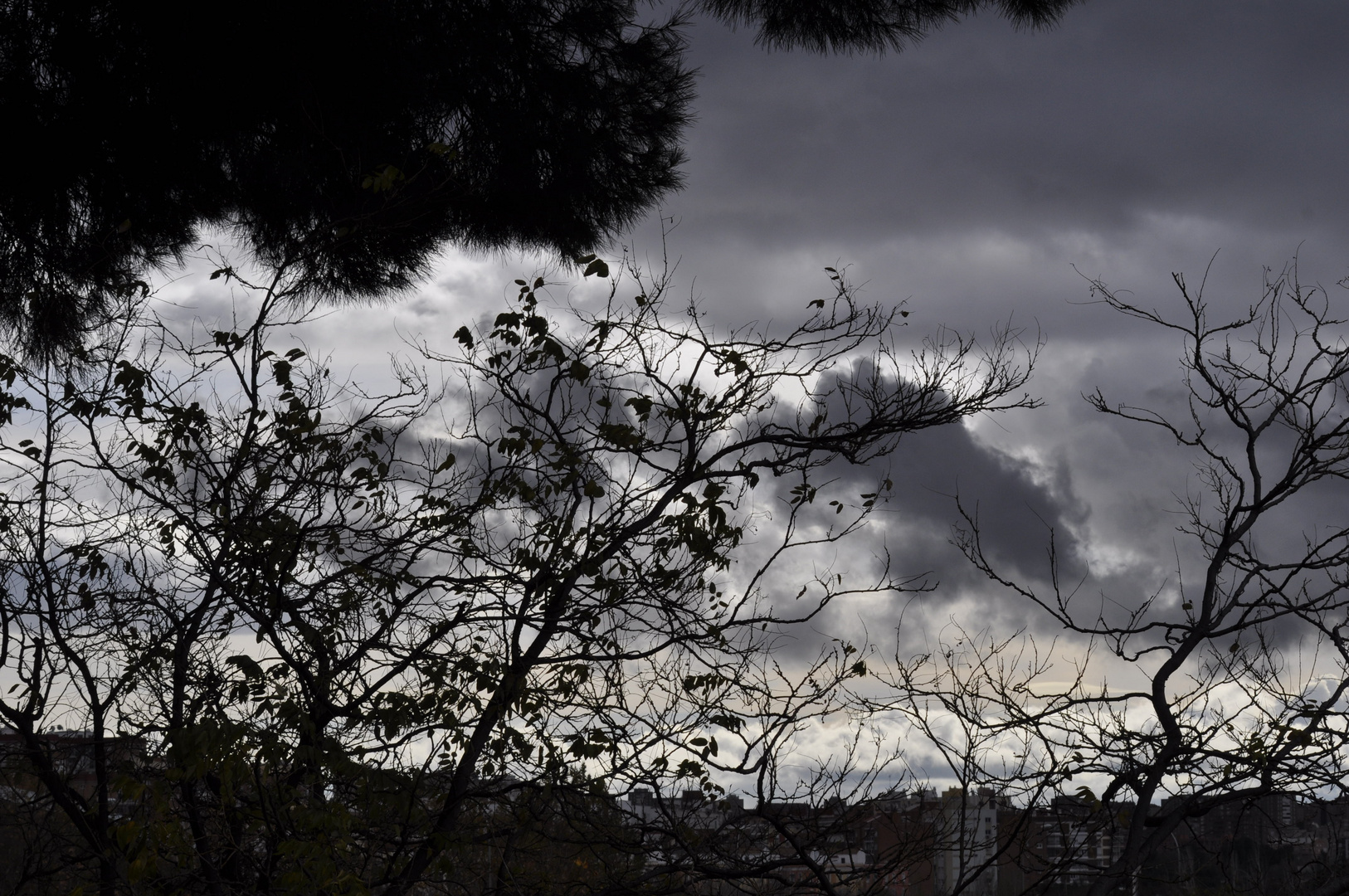 a contra luz