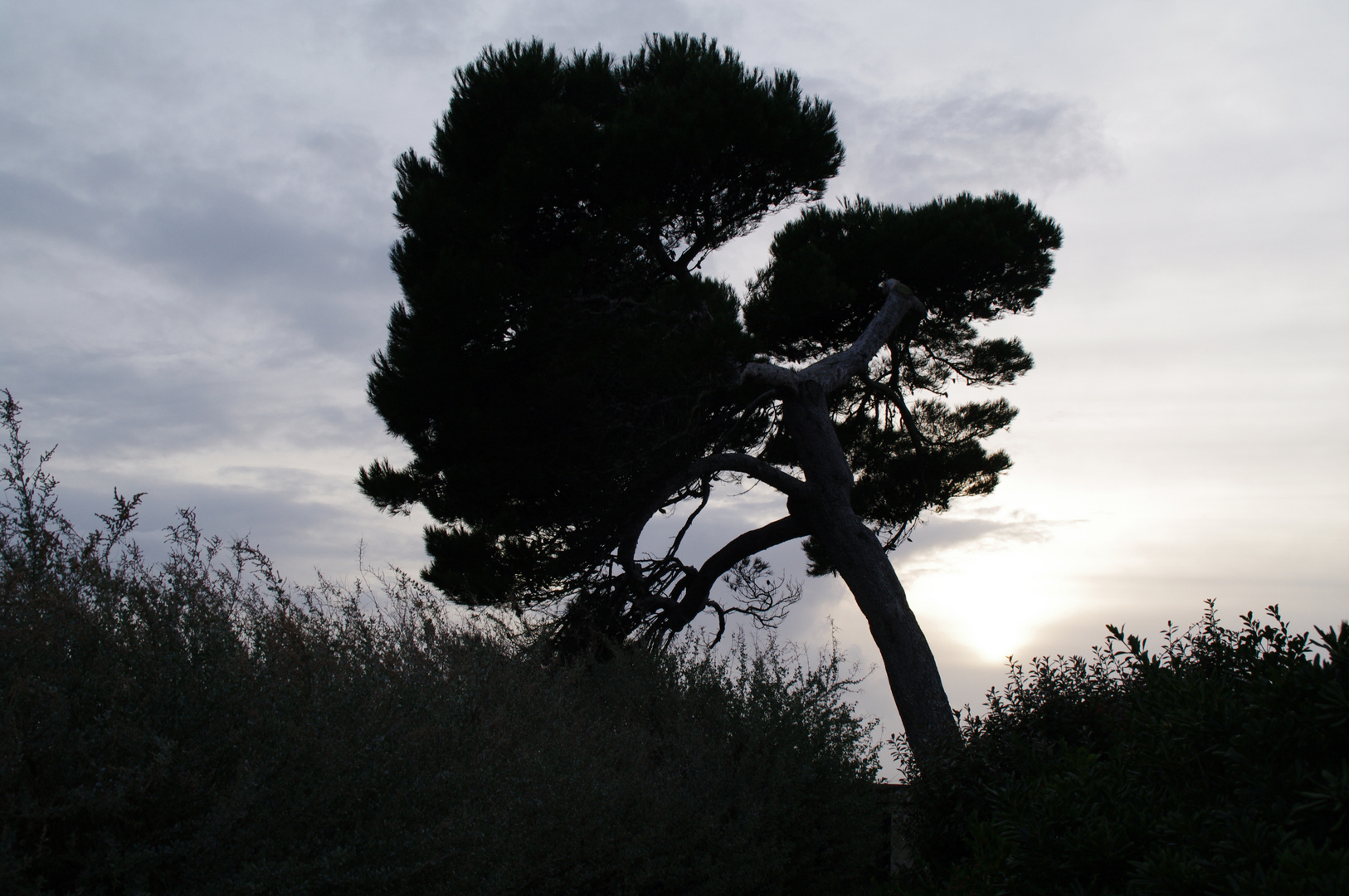 à contre jour