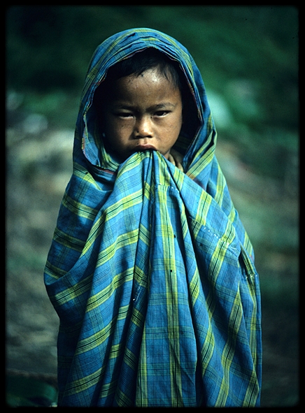 A cool morning in Bali (colour version)