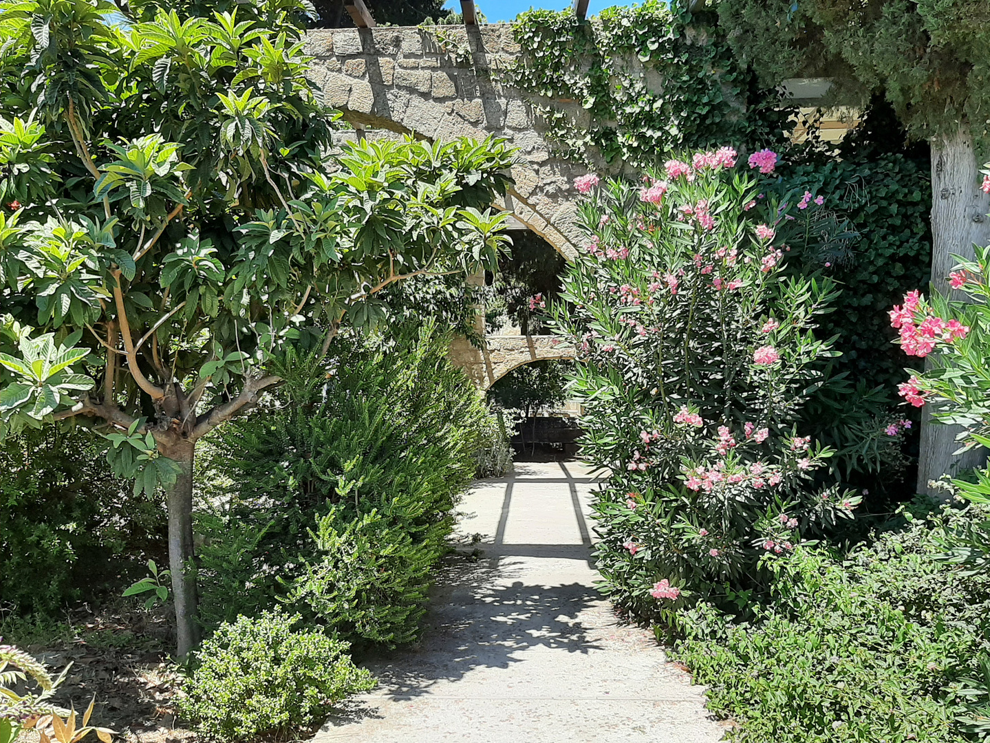 A corner from the garden of the archaeological Museum at Rhodos