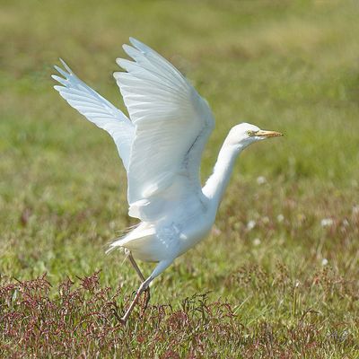 A côté de chez nous .....