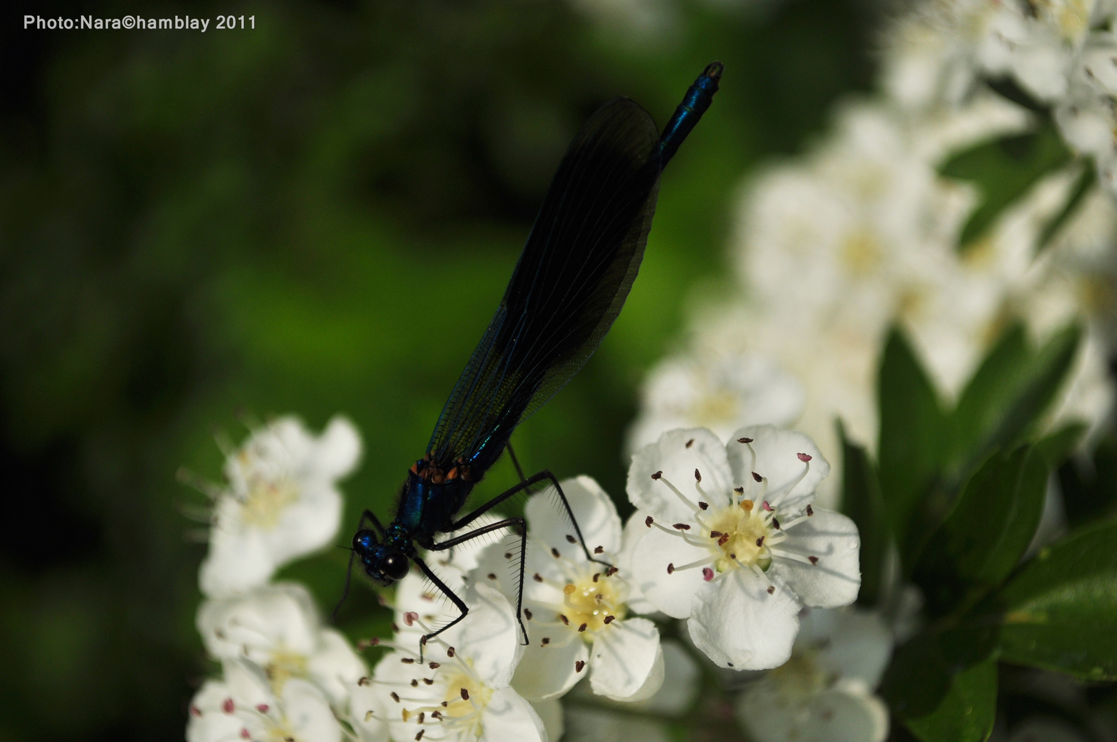 A couleurs des saisons