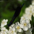 A couleurs des saisons