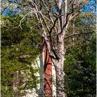 A Country Chapel in Early Spring