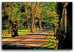 A Country Lane