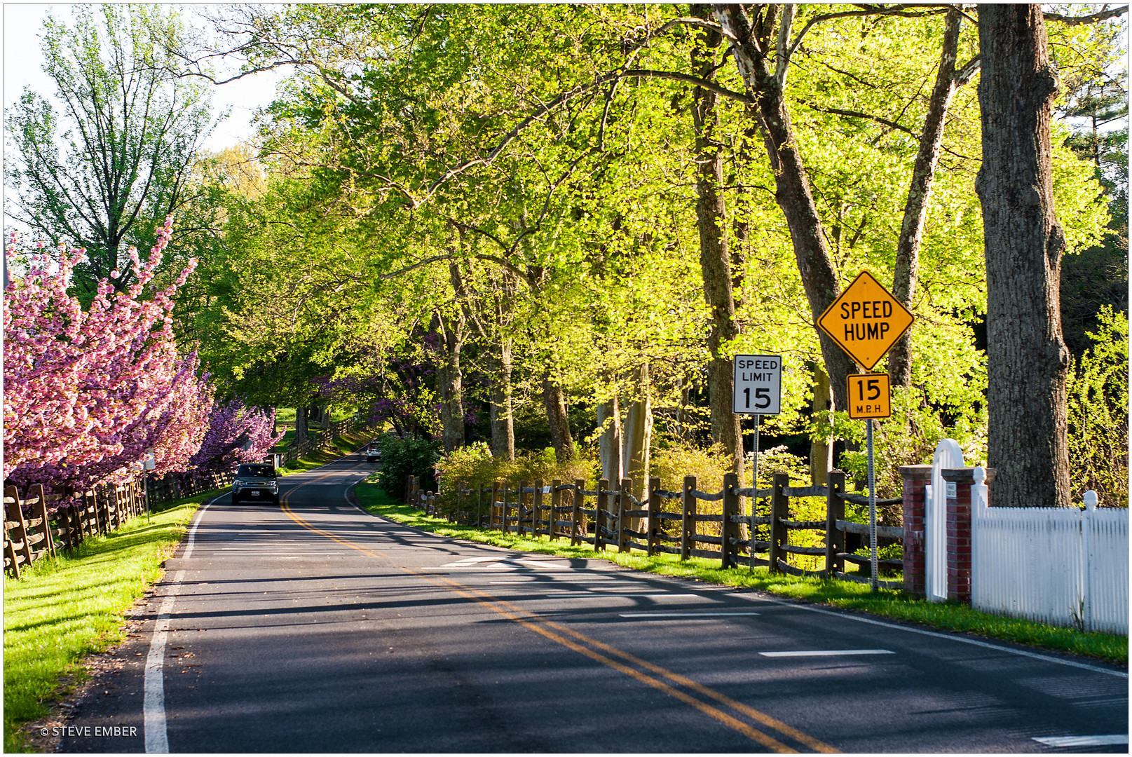 A Country Lane on a Spring Afternoon