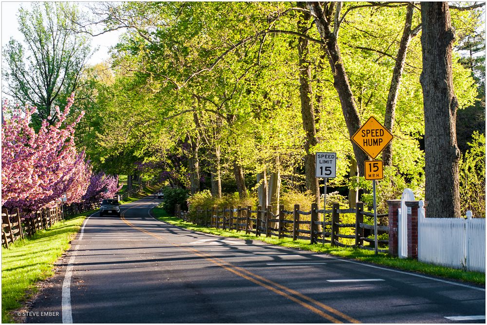 A Country Lane on a Spring Afternoon