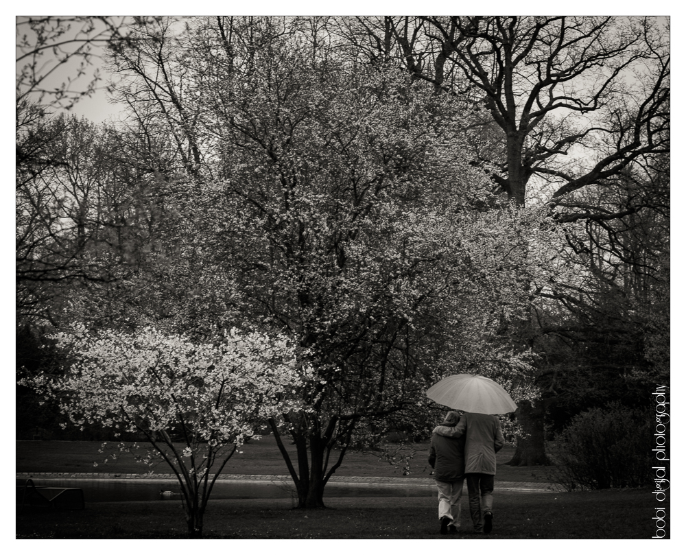 ..:: a couple in rain ::..