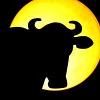 a COWsignal from outer space