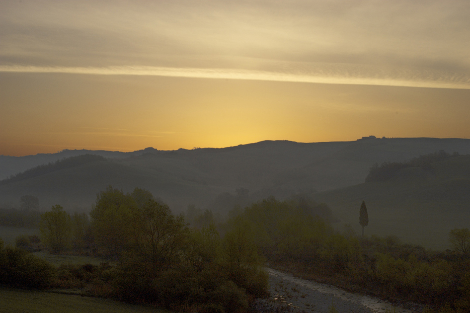 A creek at dawn