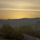 A creek at dawn