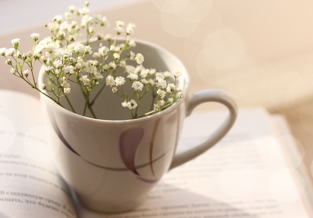 a Cup of Spring