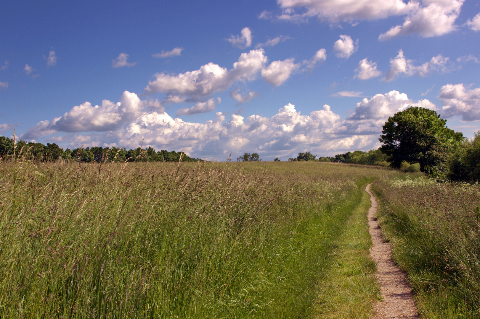 A Danish landscape