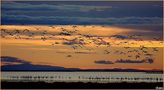 A dawn in Camargue von Ettore Caio