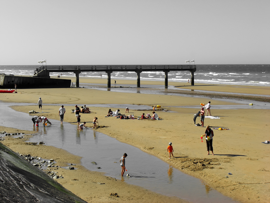 A day at the beach