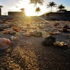 A Day at the Beach