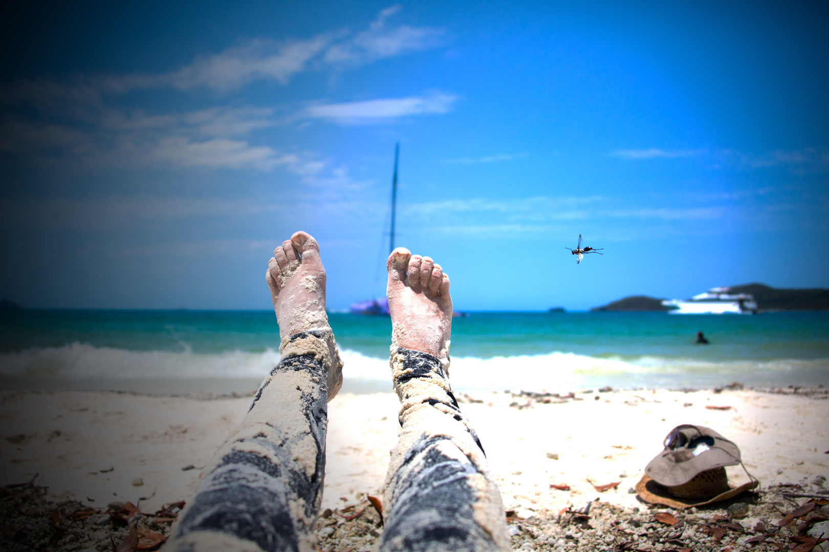 A day at the beach