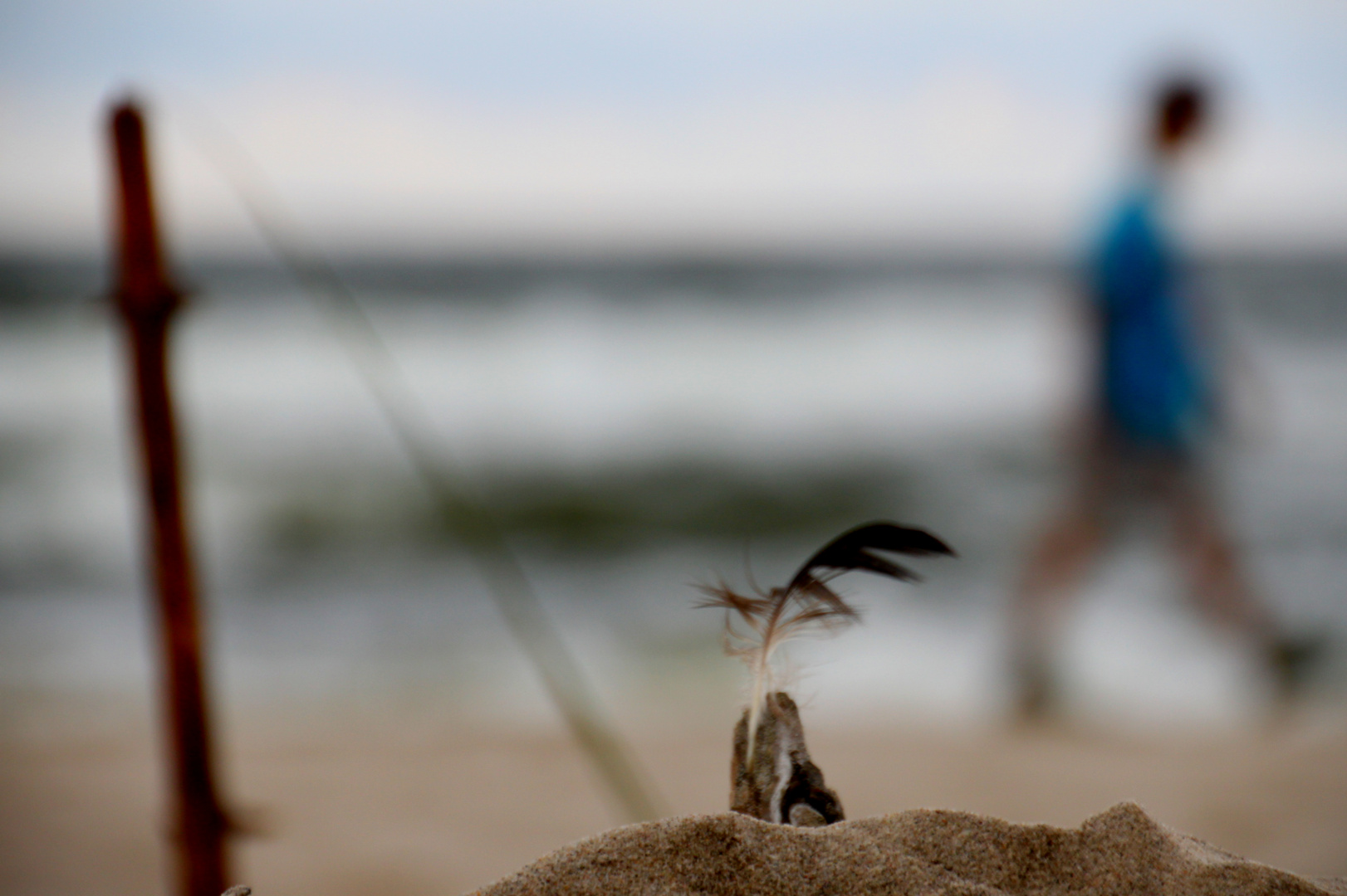 A day at the beach