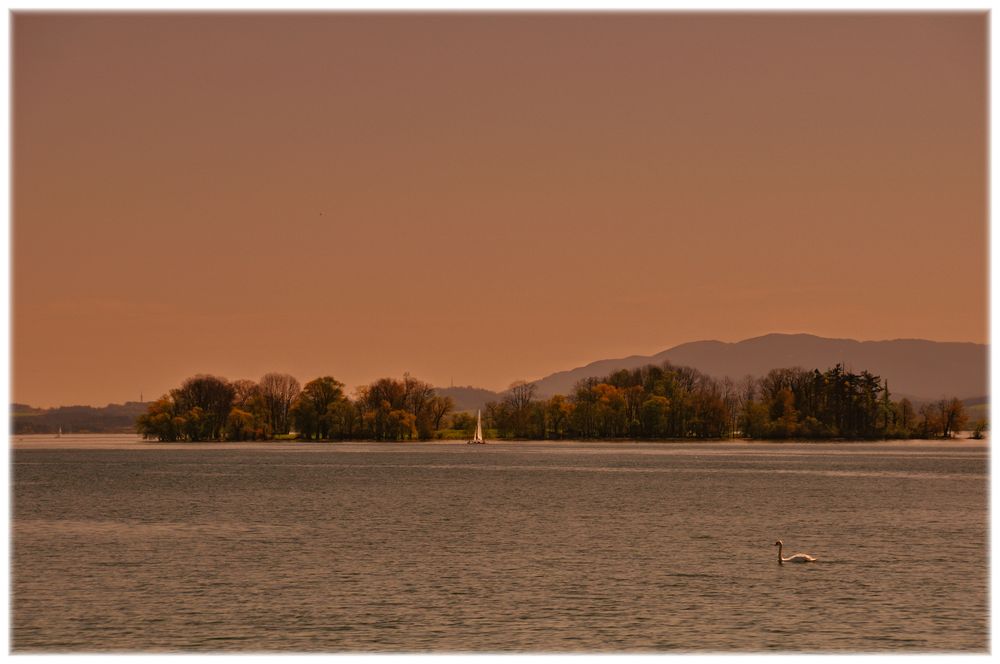 a day at the lake