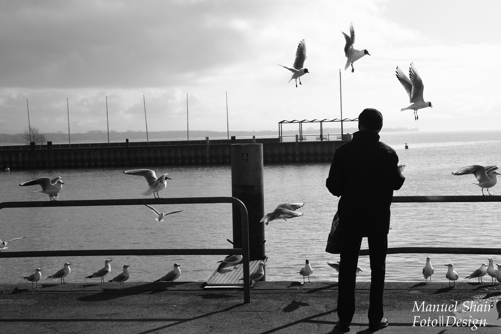 A Day at the Lake Constance