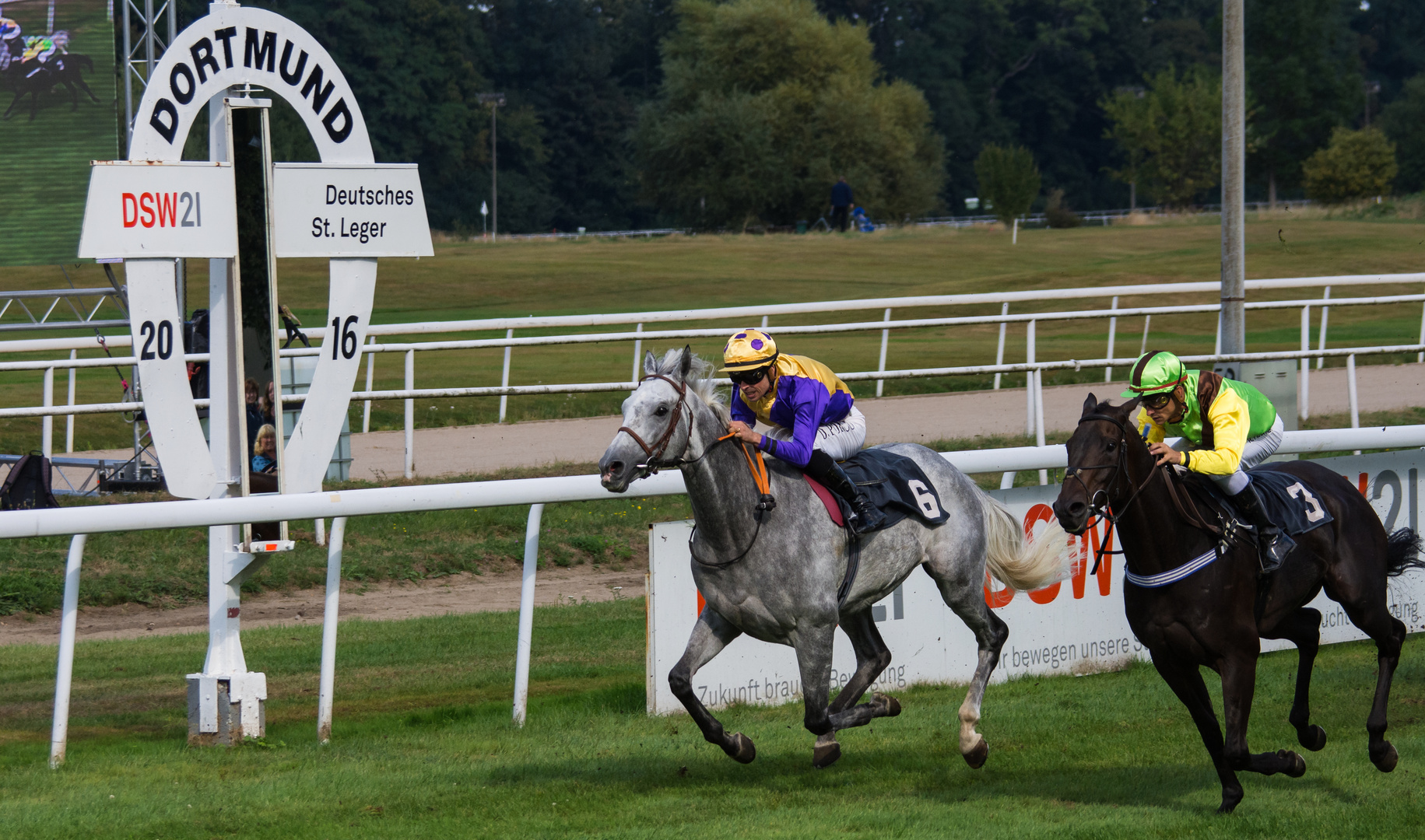 A Day at the Races