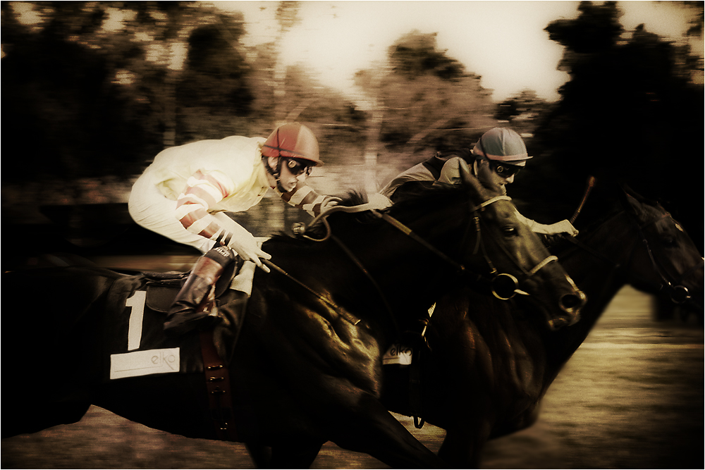 A Day at the Races ... (2)