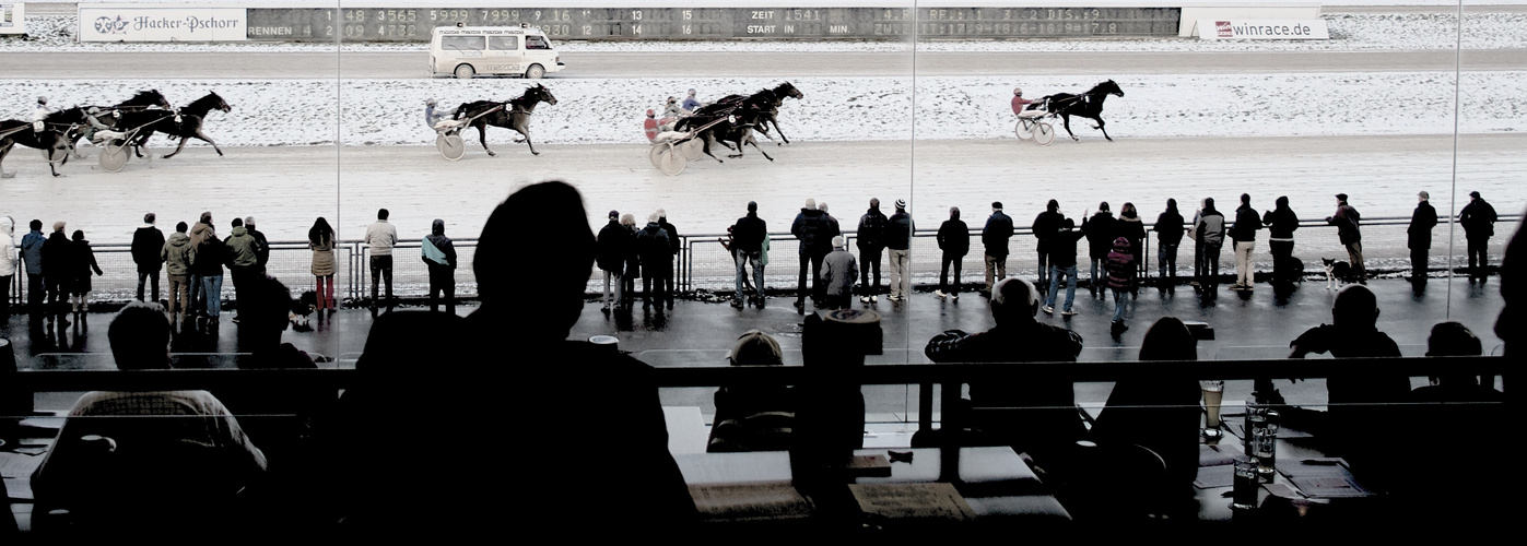 A day at the races - auf der Trabrennbahn Daglfing