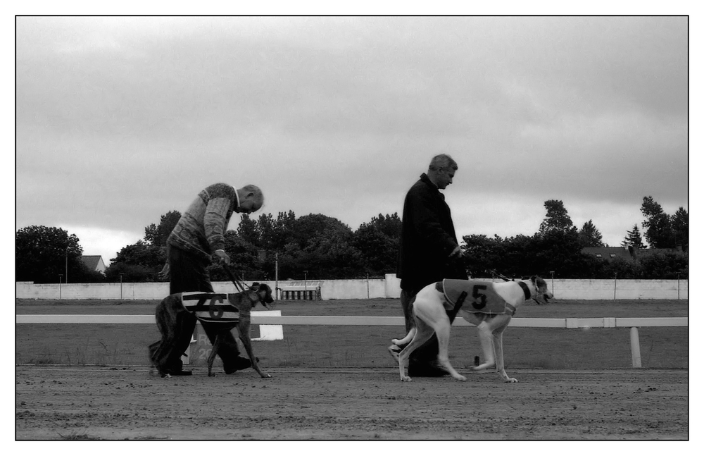 A day at the races II