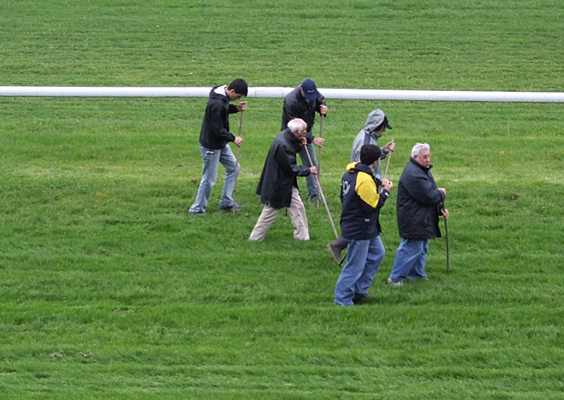 a day at the races III