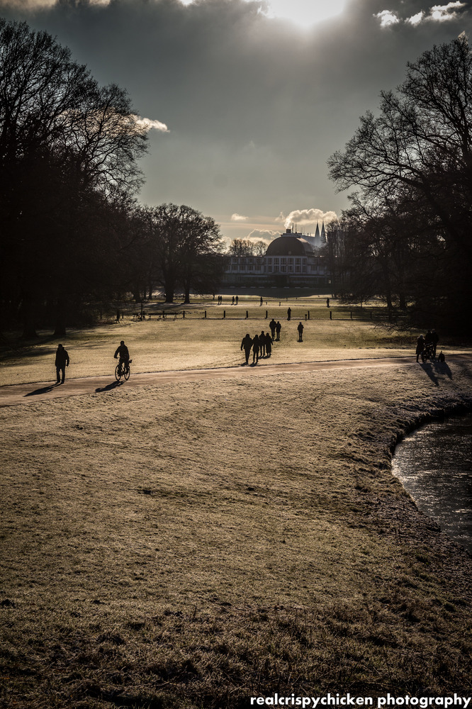 A day in the park