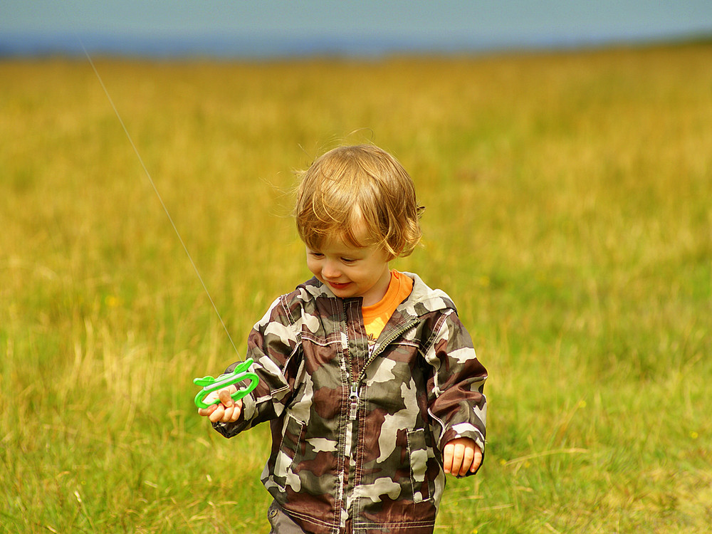 A day on dartmoor