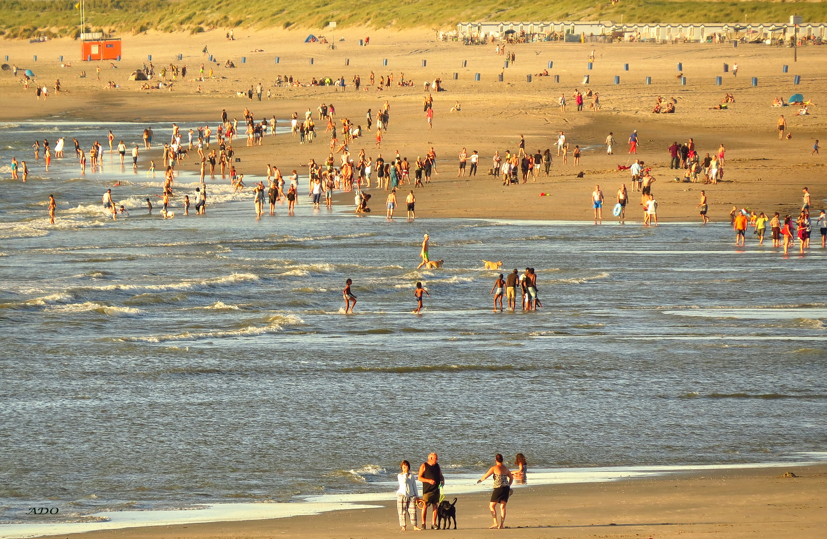 A Day on the Beach