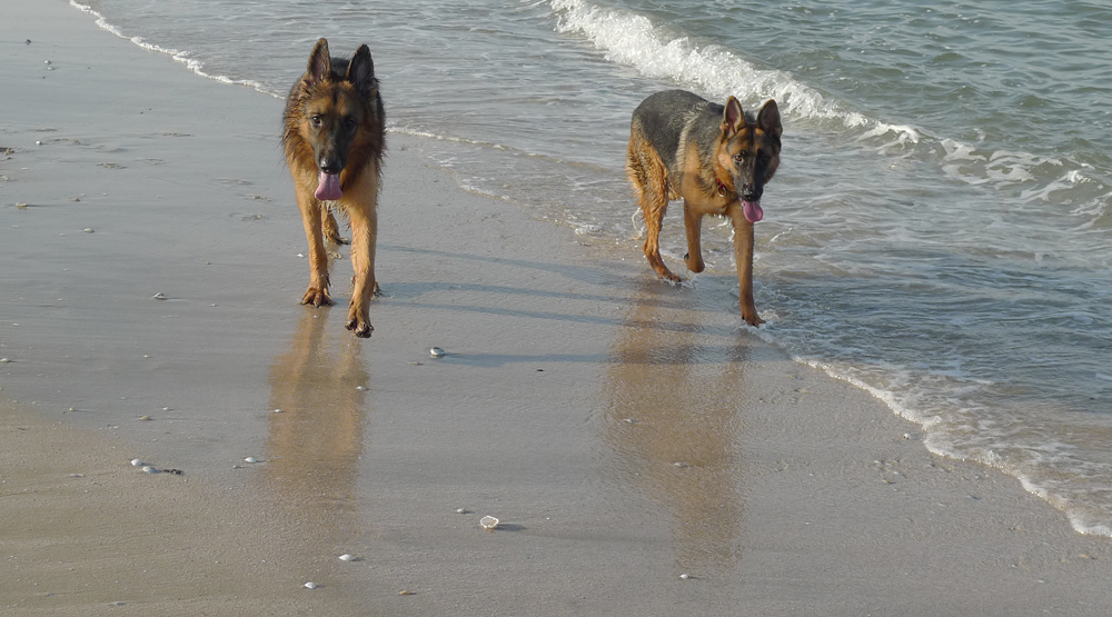 A day on the beach