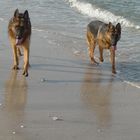 A day on the beach