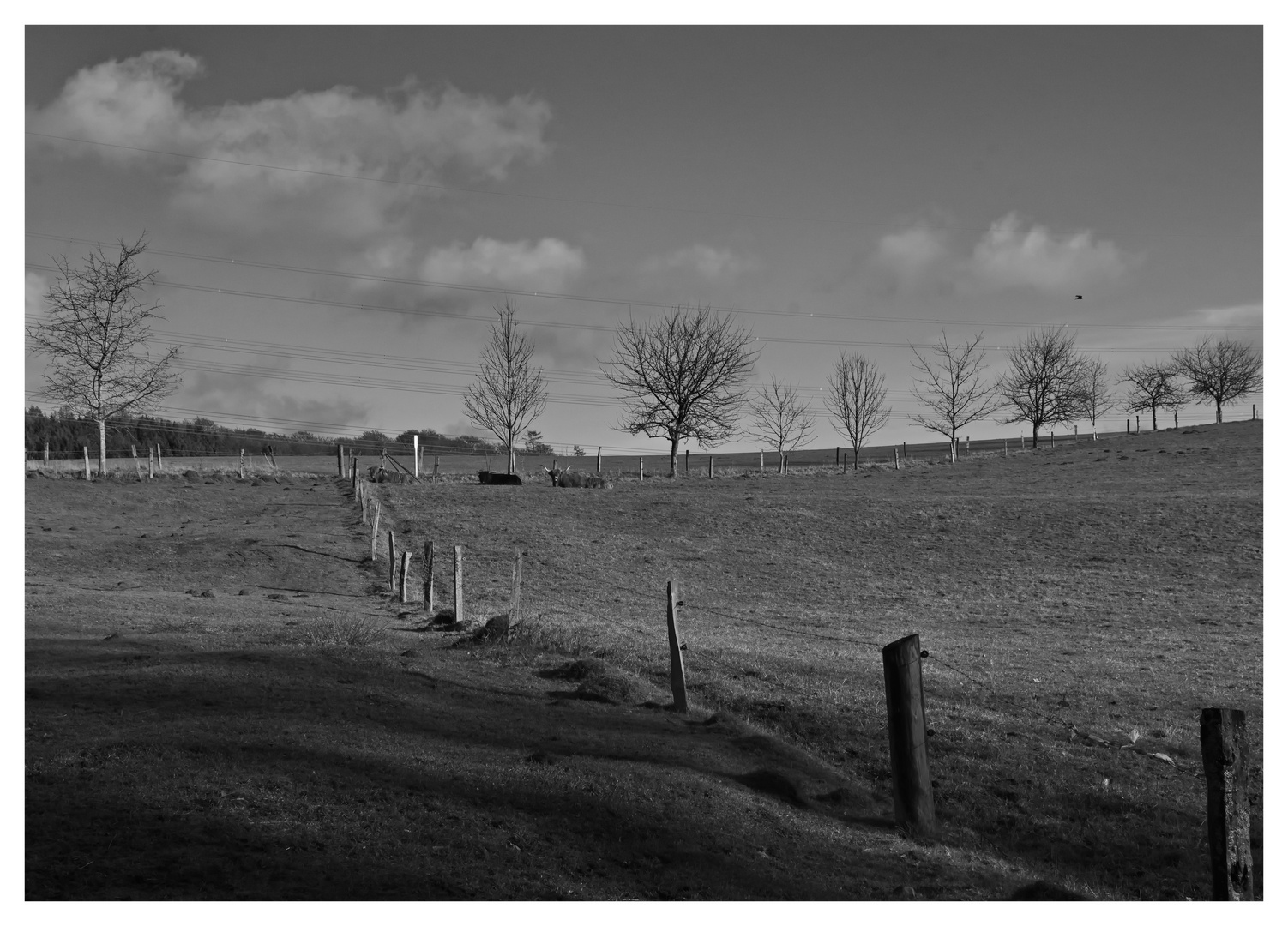 A day on the farm