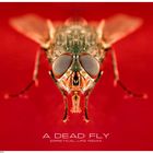 a dead fly (erraticalLIFE rmx)