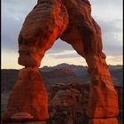 a delicate arch.