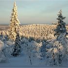 A different corner: Lapland